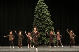 IDS Holiday SHow 2013 Full Res-151 (2)